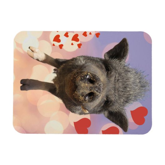 Phil Valentines jour Magnet (Horizontal)