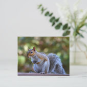 Philadelphia Gray Squirrel Briefkaart (Staand voorkant)