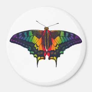Philadelphia Rainbow Pride Flag Swallowtail Magneet