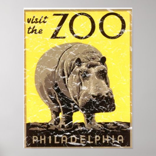 Philadelphia Zoo-Hippo verergerd Poster (Voorkant)