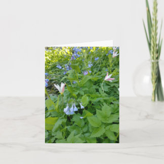 Philippians 4:4 Blank Card Kaart