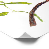 Philippine Dwarf Kingfisher Endemic Bird Poster (Hoek)