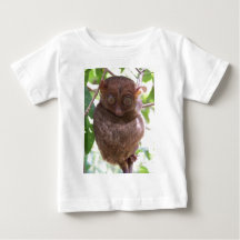 Philippine Tarsier