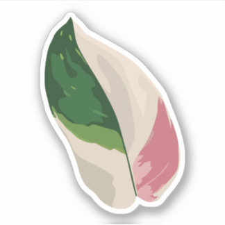 Philodendron Pink Princess Sticker