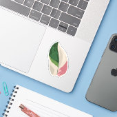 Philodendron Pink Princess Sticker (Laptop met iPhone)