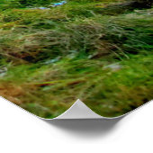 Philpott Lake in Virginia Poster (Hoek)