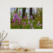 Phlox bij een begraafplaats poster (Keuken)