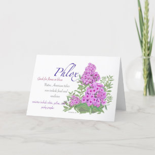 Phlox Blank Kaart