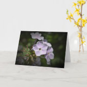 Phlox, carte (Fleur jaune)
