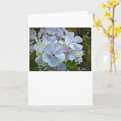 Phlox, carte (Fleur jaune)