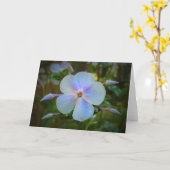 Phlox, carte (Fleur jaune)