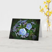 Phlox, carte (Fleur jaune)