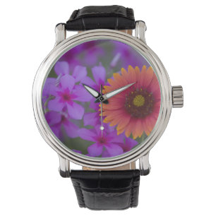 Phlox en Indianen deken bij Devine Texas Horloge
