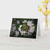 Phlox-kaart Kaart (Gele Bloem)