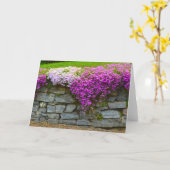 Phlox Stone Wall Notecard Kaart (Gele Bloem)