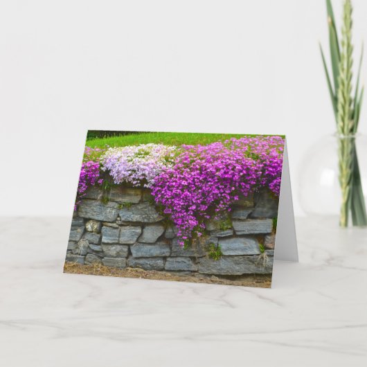 Phlox Stone Wall Notecard Kaart (Voorkant)