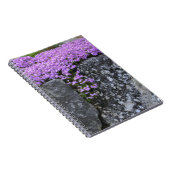 Phlox Sur Carnet Mur De Pierre (Côté Droit)