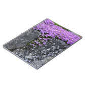 Phlox Sur Carnet Mur De Pierre (Côté gauche)