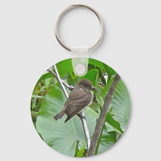 Phoebe Flycatcher Sleutelhanger (Voorkant)