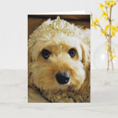PhoebethePrincess, Carte de voeux Cavapoo (Fleur jaune)
