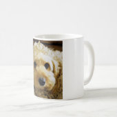 PhoebethePrincess, Cavapoo op Classic White Mok (Voorkant rechts)