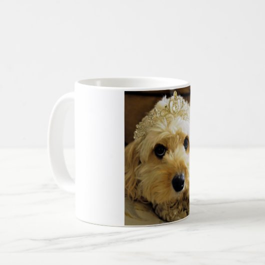 PhoebethePrincess, Cavapoo op Classic White Mok (Voorkant links)