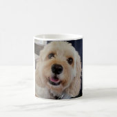 PhoebethePrincess Cavapoo sur une tasse blanche (Centre)