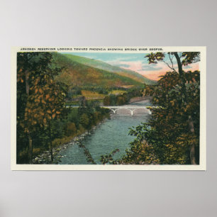 Phoencia, Brug over Esopus Poster