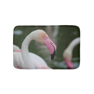 Phoenicopterus roseus badmat