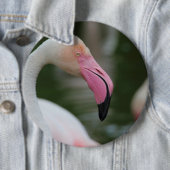 Phoenicopterus roseus ronde button 6,0 cm (In situ)