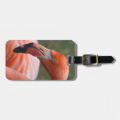 Phoenicopterus ruber bagagelabel (Voorkant horizontaal)