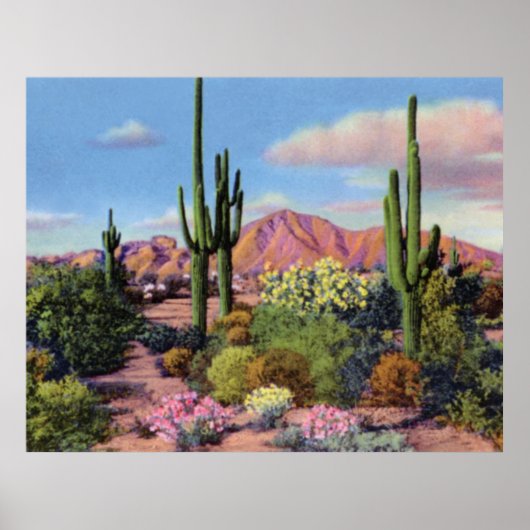 Phoenix Arizona Camelback Mountain Poster (Voorkant)