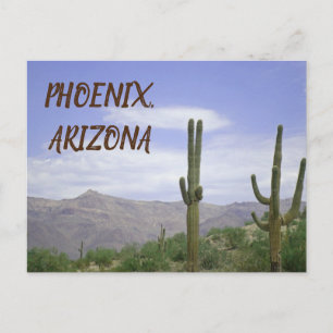 Phoenix Arizona Desert Foto Saguaro Cactus Briefkaart