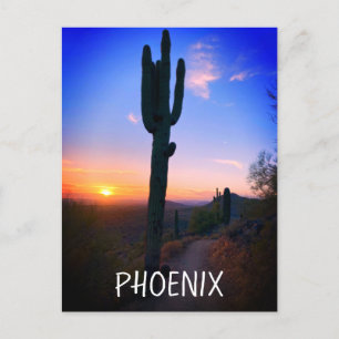 Phoenix Arizona Saguaro Cactus Sunset Souvenir Briefkaart