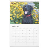 Phoenix Assistance Dogs Calendar Kalender (Mar 2027)