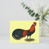 Phoenix:  BB Red Rooster Briefkaart (Staand voorkant)