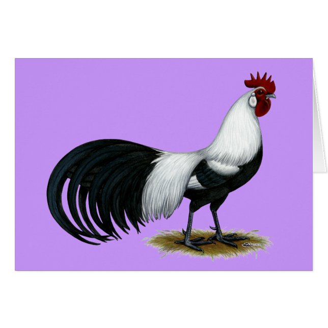 Phoenix :  Coq argenté de Duckwing (Devant Horizontal)