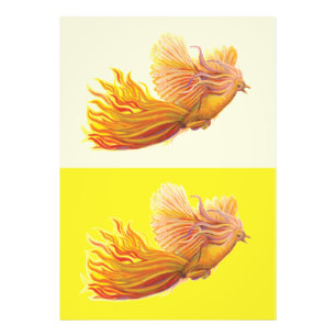 Phoenix - De vogel die herboren is Foto Afdruk