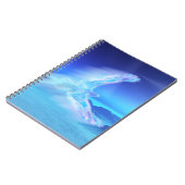 Phoenix du Carnet du Nord (Côté gauche)