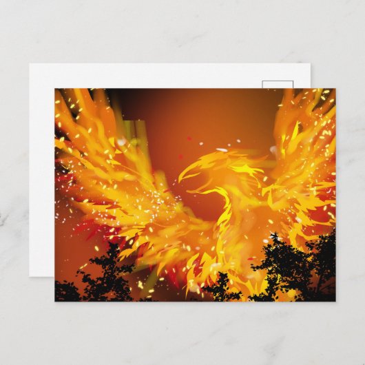 Phoenix en vol Carte postale (Devant / Derrière)