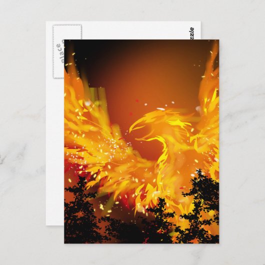 Phoenix en vol Carte postale (Devant / Derrière)