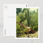 Phoenix Flora Briefkaart (Voorkant / Achterkant)