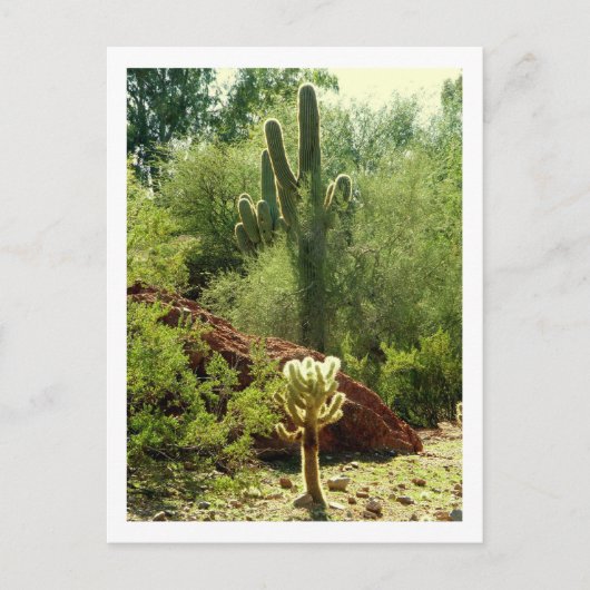 Phoenix Flora Briefkaart (Voorkant)