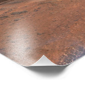 Phoenix Mars Lander 2 Foto Afdruk (Hoek)