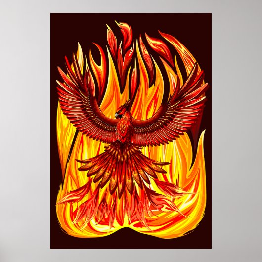 Phoenix mythologische onsterfelijke schepsel poster (Voorkant)