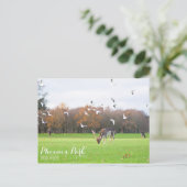 Phoenix Park Briefkaart (Staand voorkant)