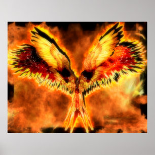 Phoenix Poster