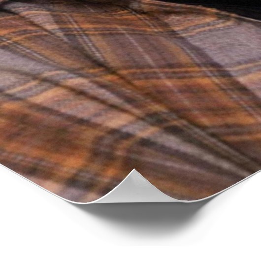 Phoenix Poster (Hoek)