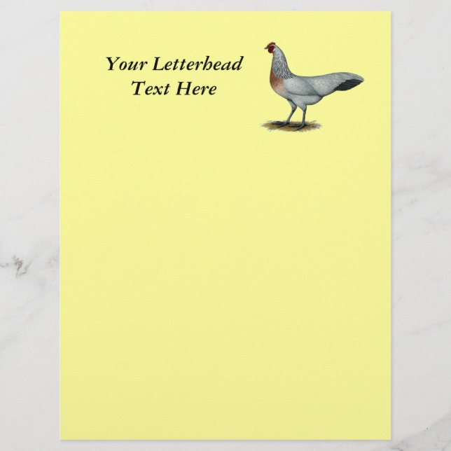 Phoenix: Silver Duckwing Hen (Voorkant)