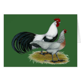 Phoenix: Silver Duckwing Pair